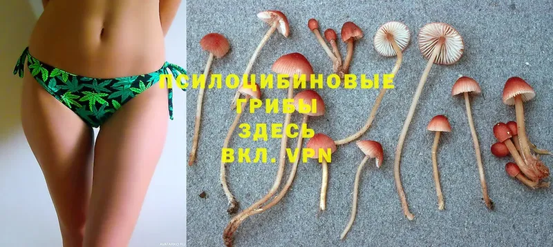 Галлюциногенные грибы MAGIC MUSHROOMS  Лениногорск 